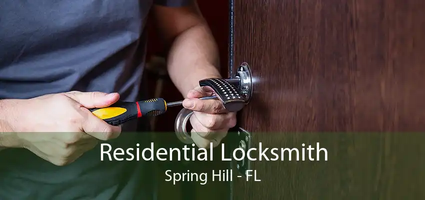 Residential Locksmith Spring Hill - FL