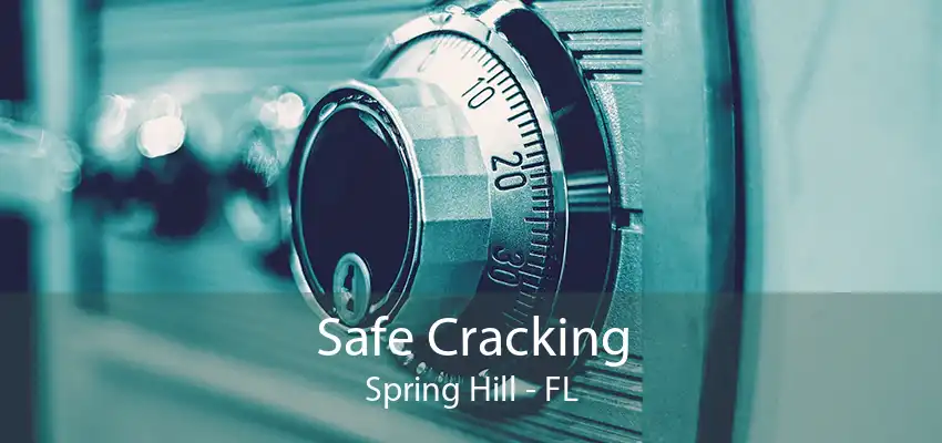 Safe Cracking Spring Hill - FL