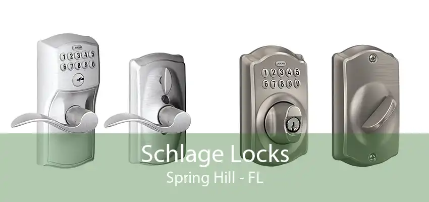 Schlage Locks Spring Hill - FL