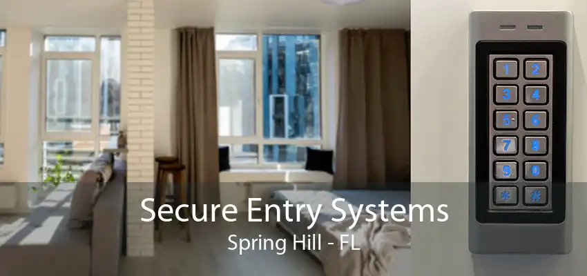 Secure Entry Systems Spring Hill - FL