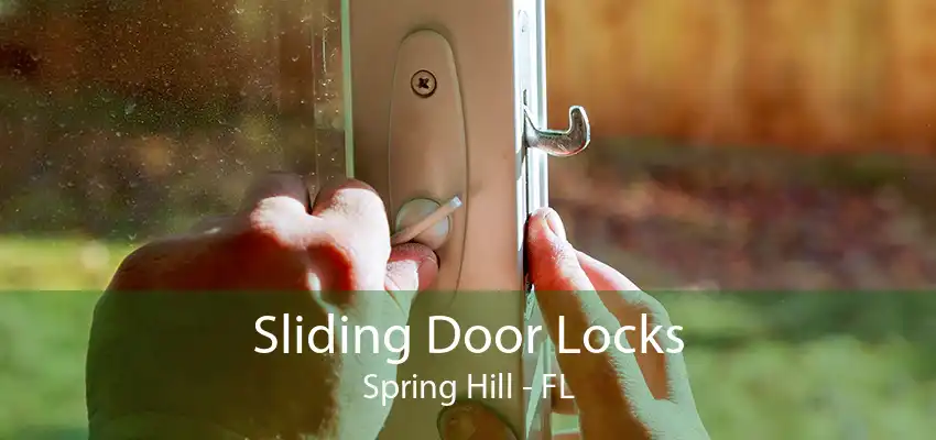 Sliding Door Locks Spring Hill - FL