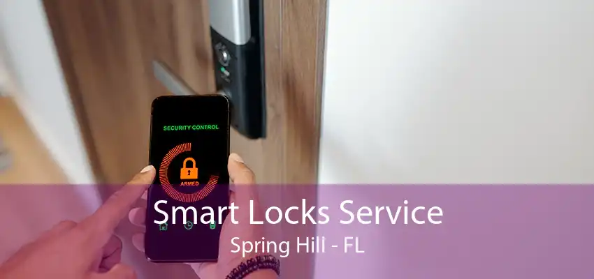 Smart Locks Service Spring Hill - FL