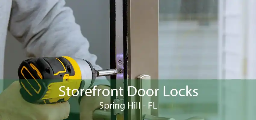 Storefront Door Locks Spring Hill - FL