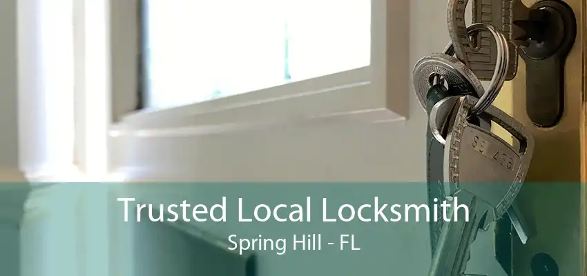 Trusted Local Locksmith Spring Hill - FL