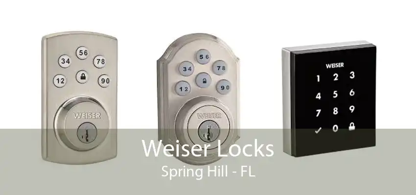 Weiser Locks Spring Hill - FL