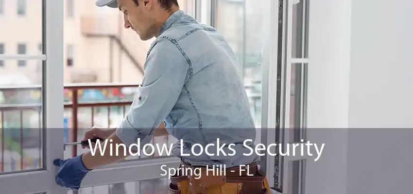 Window Locks Security Spring Hill - FL