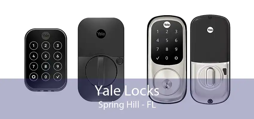 Yale Locks Spring Hill - FL